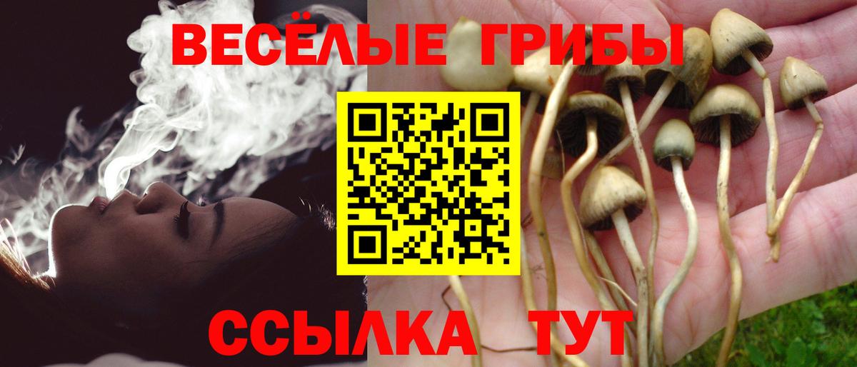 Рыбинск  Галлюциногенные грибы Cubensis  Галлюциногенные грибы MAGIC MUSHROOMS  Вход с VPN 